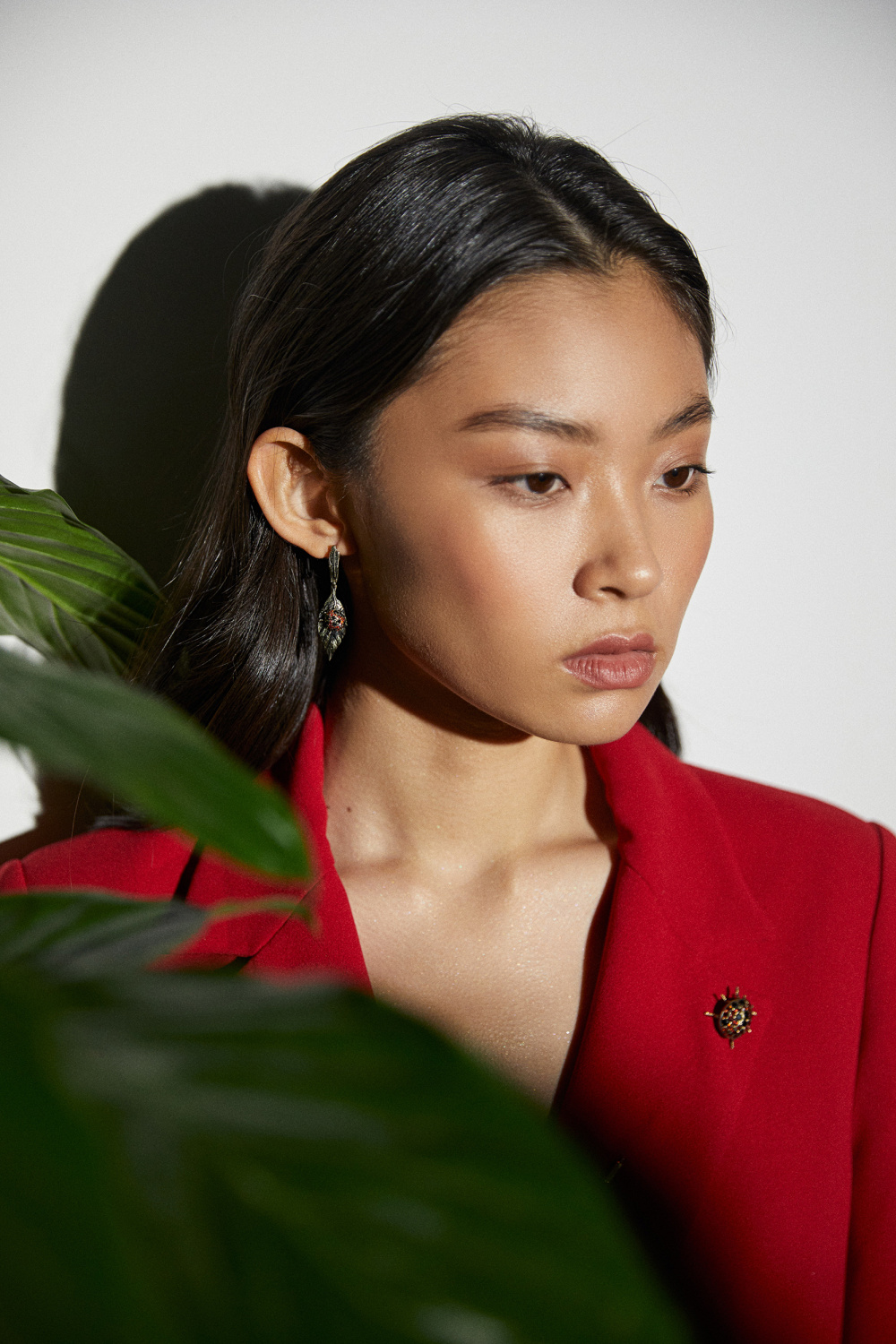 SP3030 Broosh Сoccinella