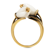 AN1003 Ring TENEREZZA