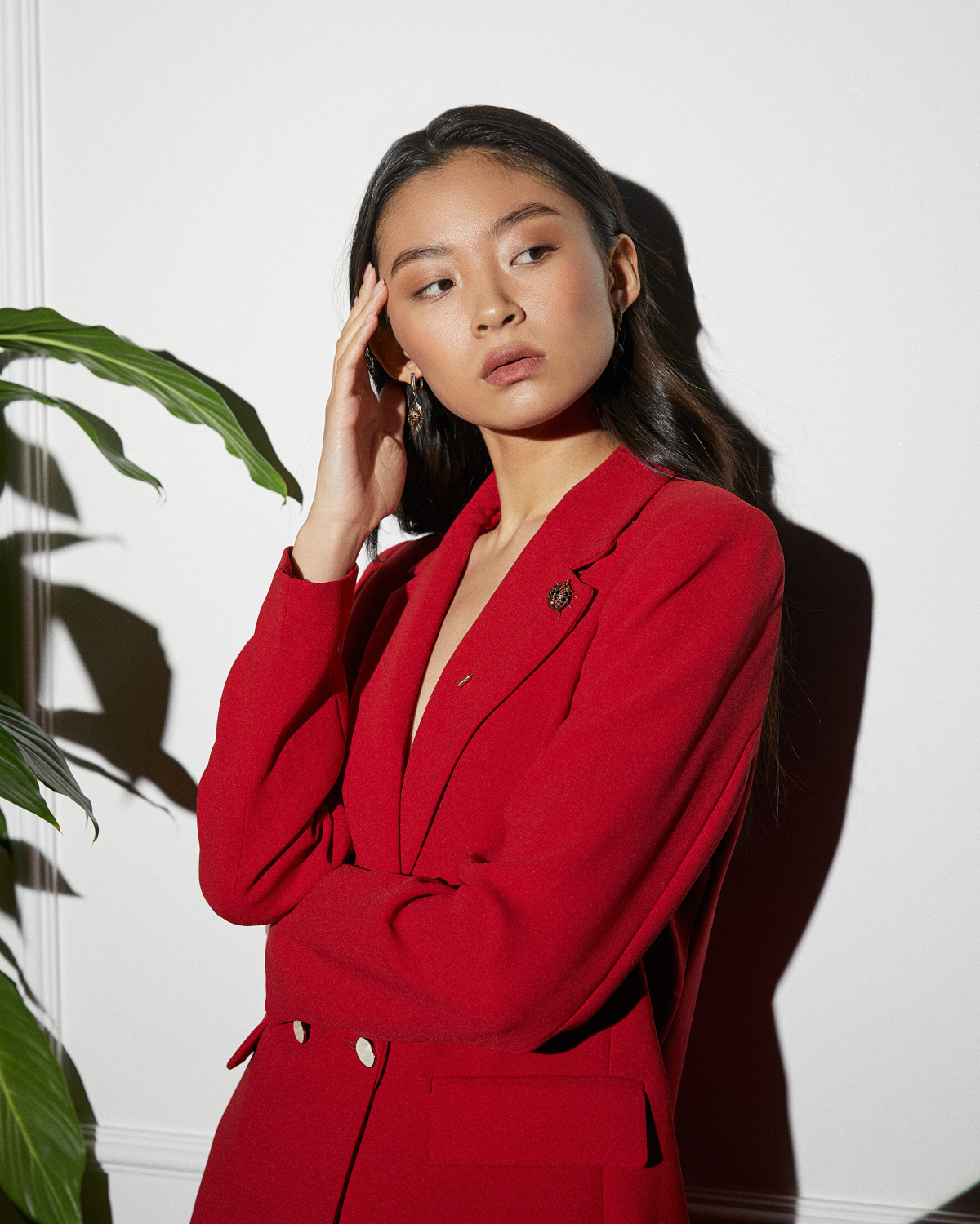 SP3030 Broosh Сoccinella