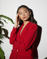 SP3030 Broosh Сoccinella